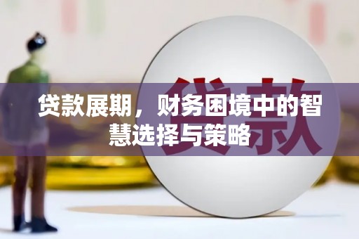 米脂贷款展期，财务困境中的智慧选择与策略