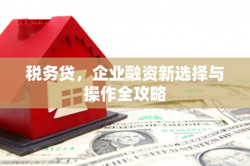 米脂税务贷，企业融资新选择与操作全攻略