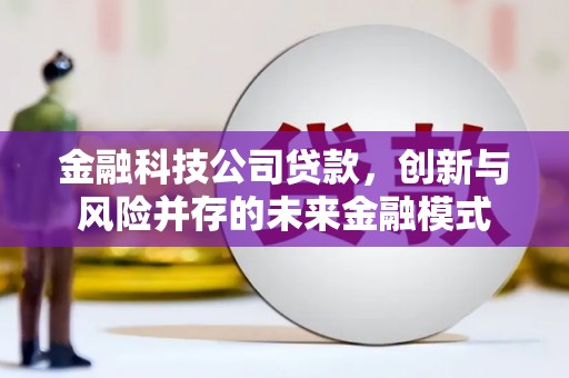 米脂金融科技公司贷款，创新与风险并存的未来金融模式