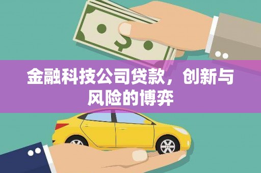 米脂金融科技公司贷款，创新与风险的博弈