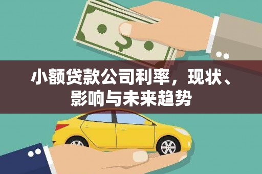 米脂小额贷款公司利率，现状、影响与未来趋势