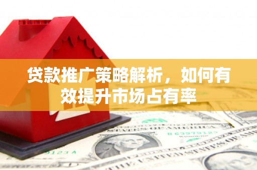 米脂贷款推广策略解析，如何有效提升市场占有率