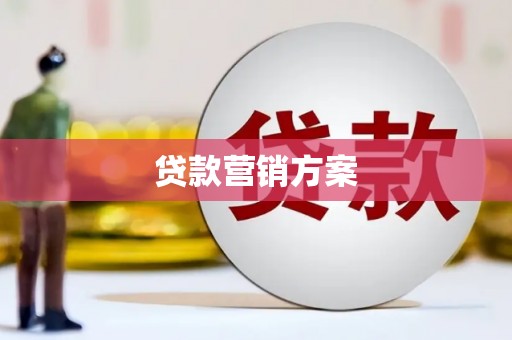 米脂贷款营销方案