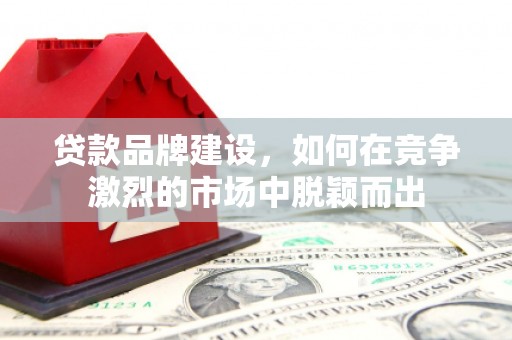 米脂贷款品牌建设，如何在竞争激烈的市场中脱颖而出