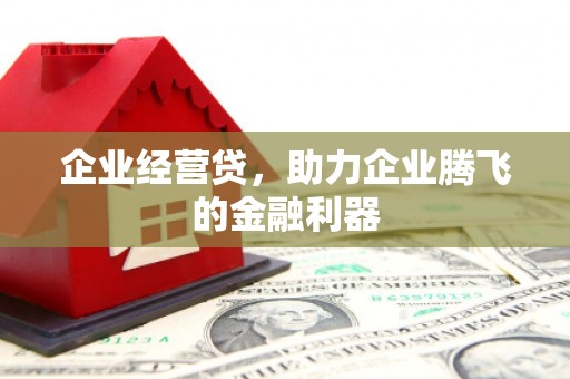 米脂企业经营贷，助力企业腾飞的金融利器