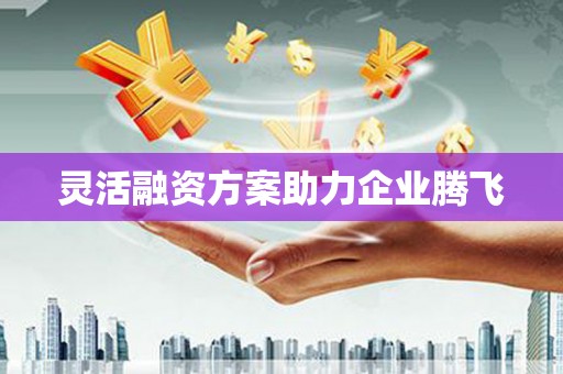 米脂灵活融资方案助力企业腾飞