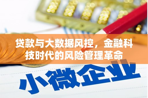米脂贷款与大数据风控，金融科技时代的风险管理革命