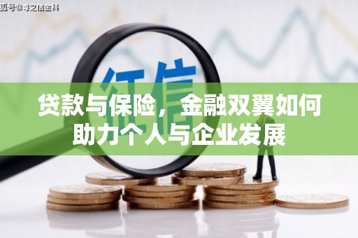 米脂贷款与保险，金融双翼如何助力个人与企业发展
