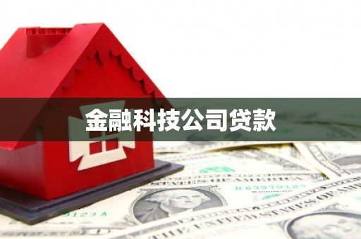 米脂金融科技公司贷款