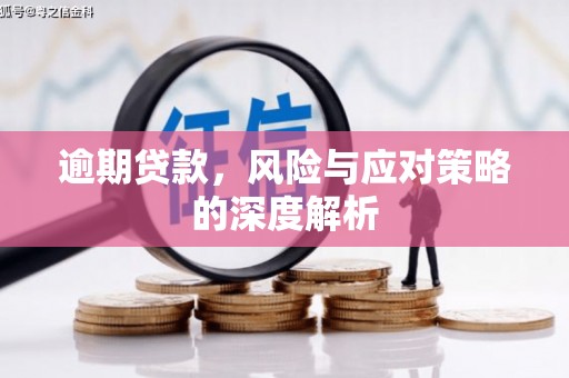 米脂逾期贷款，风险与应对策略的深度解析