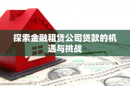 米脂探索金融租赁公司贷款的机遇与挑战