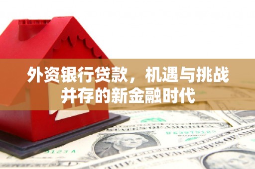 米脂外资银行贷款，机遇与挑战并存的新金融时代