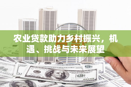 米脂农业贷款助力乡村振兴，机遇、挑战与未来展望