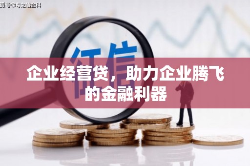 米脂企业经营贷，助力企业腾飞的金融利器