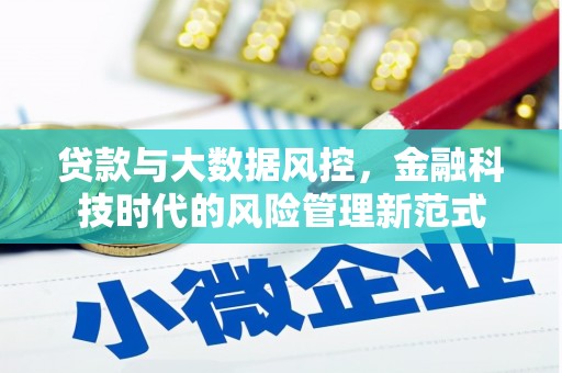 米脂贷款与大数据风控，金融科技时代的风险管理新范式