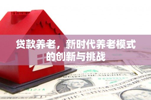 米脂贷款养老，新时代养老模式的创新与挑战