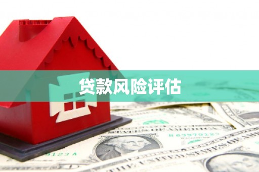 米脂贷款风险评估