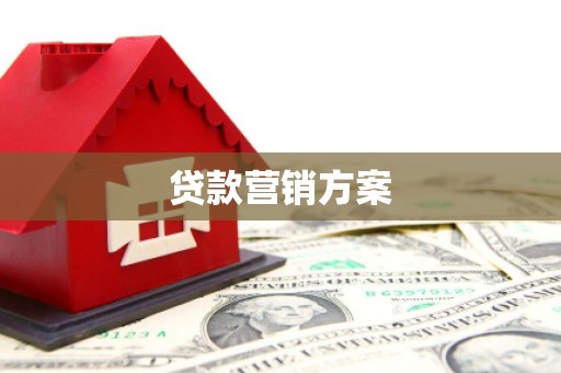 米脂贷款营销方案