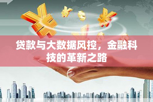 米脂贷款与大数据风控，金融科技的革新之路