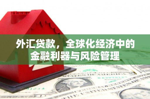 米脂外汇贷款，全球化经济中的金融利器与风险管理
