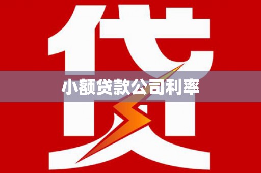 米脂小额贷款公司利率