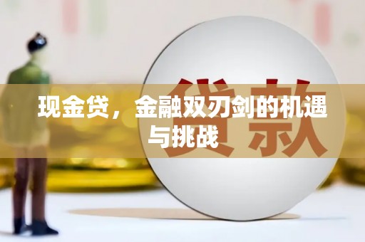 米脂现金贷，金融双刃剑的机遇与挑战