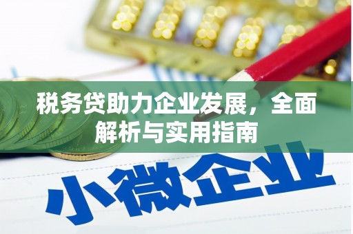 米脂税务贷助力企业发展，全面解析与实用指南