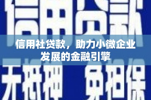 米脂信用社贷款，助力小微企业发展的金融引擎