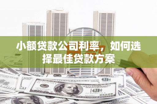 米脂小额贷款公司利率，如何选择最佳贷款方案