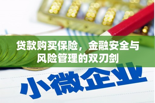 米脂贷款购买保险，金融安全与风险管理的双刃剑