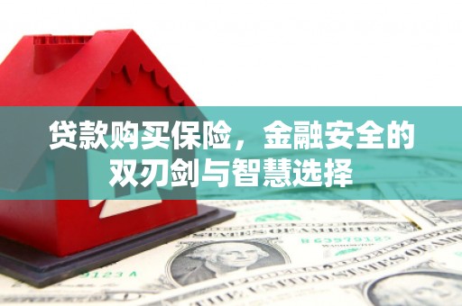 米脂贷款购买保险，金融安全的双刃剑与智慧选择