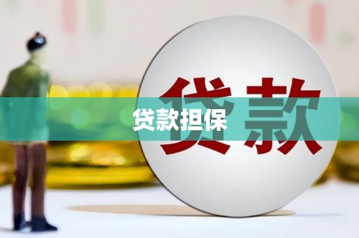 米脂贷款担保
