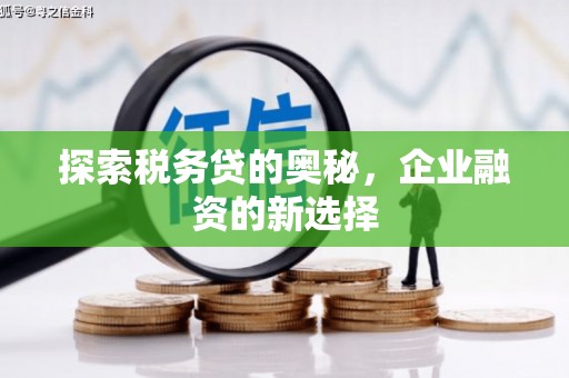 米脂探索税务贷的奥秘，企业融资的新选择