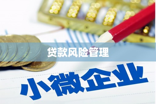 米脂贷款风险管理