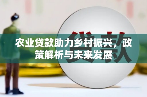 米脂农业贷款助力乡村振兴，政策解析与未来发展