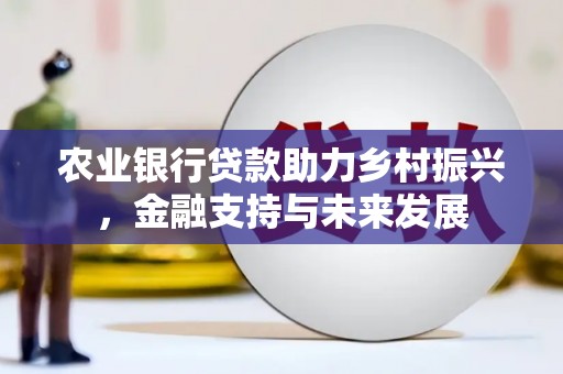 米脂农业银行贷款助力乡村振兴，金融支持与未来发展