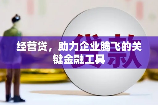 米脂经营贷，助力企业腾飞的关键金融工具