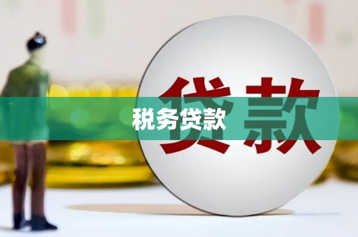 米脂税务贷款