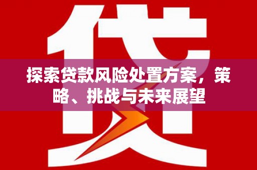 米脂探索贷款风险处置方案，策略、挑战与未来展望