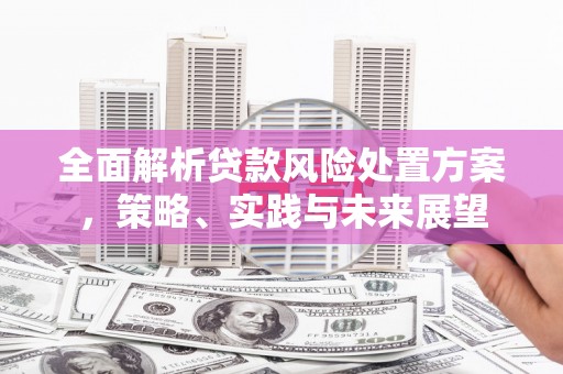 米脂全面解析贷款风险处置方案，策略、实践与未来展望