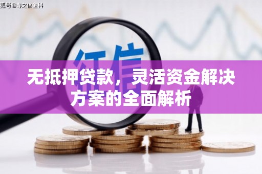 米脂无抵押贷款，灵活资金解决方案的全面解析