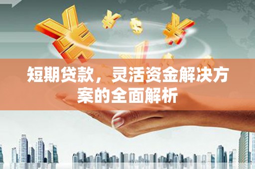 米脂短期贷款，灵活资金解决方案的全面解析