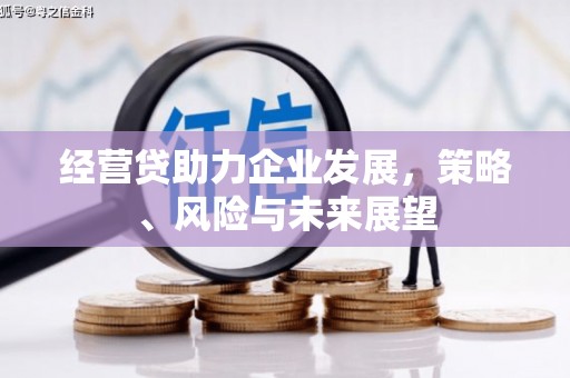 米脂经营贷助力企业发展，策略、风险与未来展望