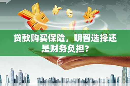 米脂贷款购买保险，明智选择还是财务负担？