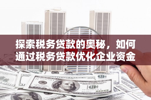 米脂探索税务贷款的奥秘，如何通过税务贷款优化企业资金流