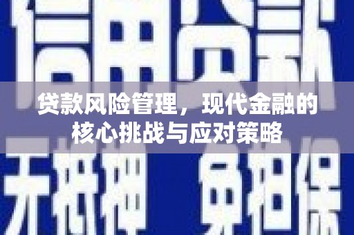 米脂贷款风险管理，现代金融的核心挑战与应对策略