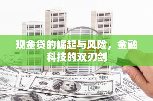 米脂现金贷的崛起与风险，金融科技的双刃剑