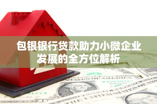 米脂包银银行贷款助力小微企业发展的全方位解析