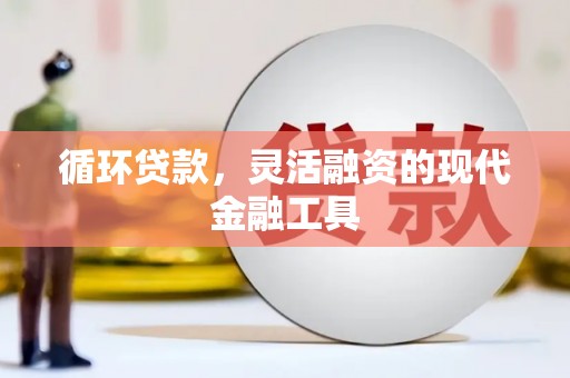 米脂循环贷款，灵活融资的现代金融工具