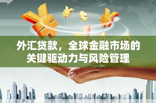 米脂外汇贷款，全球金融市场的关键驱动力与风险管理
